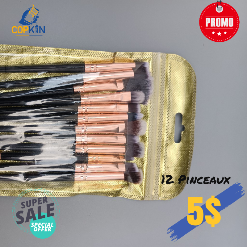 12 Pinceaux